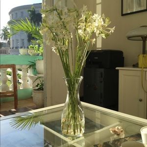 Meet your Posher, Reginald